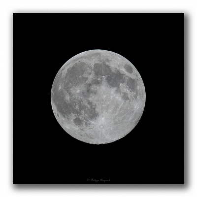 Pleine lune
Pleine lune prise le 08/04/2020 à 02h20 depuis le jardin durant la super lune.
Mots-clés: pleine lune vendée super lune
